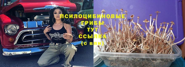 соль ск Абинск