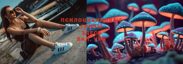 соль ск Абинск
