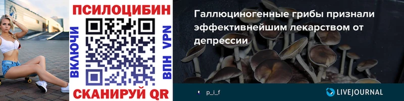 магазин продажи   Вышний Волочёк  Псилоцибиновые грибы MAGIC MUSHROOMS 